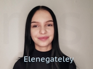 Elenegateley