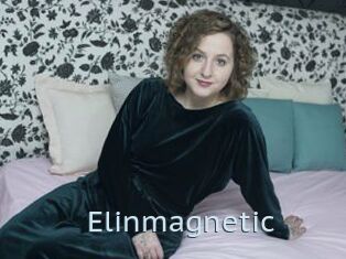 Elinmagnetic