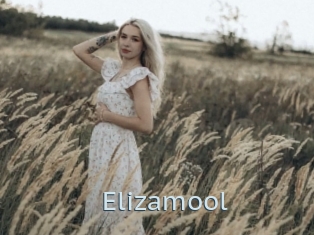 Elizamool