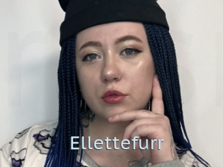 Ellettefurr