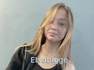 Elvabigge