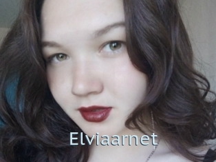 Elviaarnet