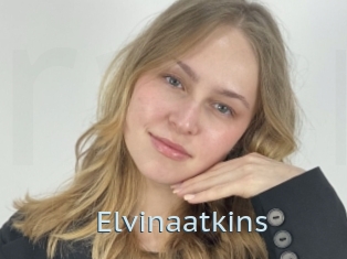 Elvinaatkins