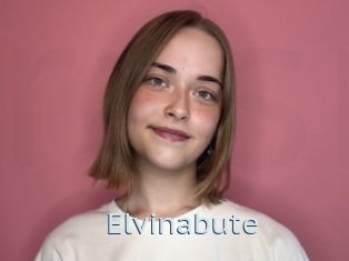 Elvinabute