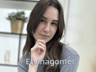 Elvinagomer