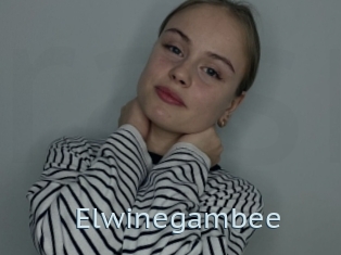 Elwinegambee