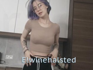 Elwinehalsted