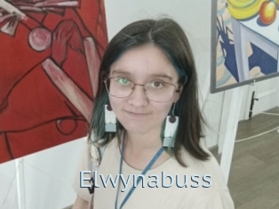 Elwynabuss