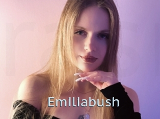 Emiliabush