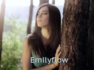 Emilyflow