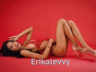 Erikalevvy