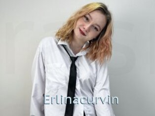 Erlinacurvin