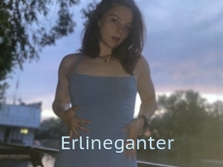 Erlineganter