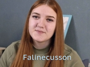 Falinecusson