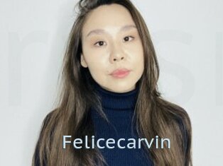 Felicecarvin