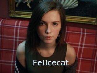 Felicecat