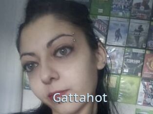 Gattahot