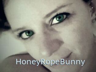 HoneyRopeBunny