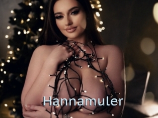 Hannamuler