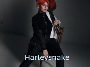 Harleysnake