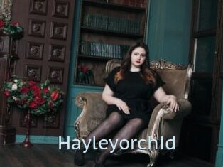 Hayleyorchid