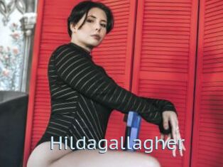 Hildagallagher