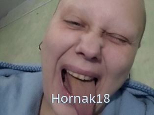 Hornak18