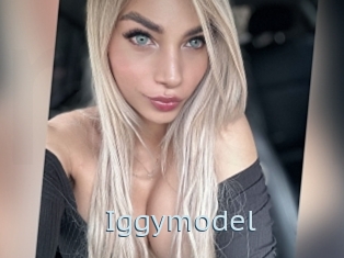 Iggymodel