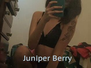 Juniper_Berry