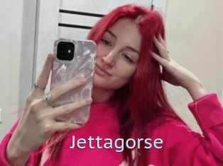 Jettagorse