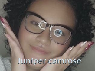 Juniper_camrose