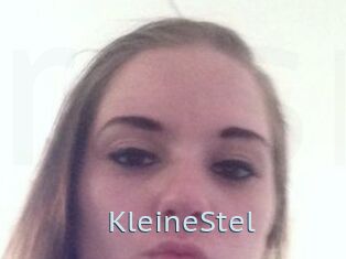 KleineStel