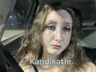 Kandikatie