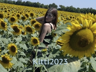 Kitti2023