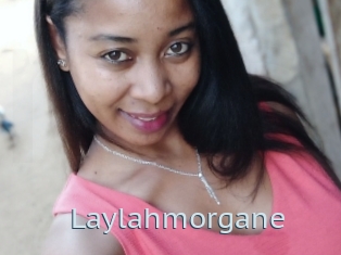 Laylahmorgane