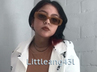 Littleang43l