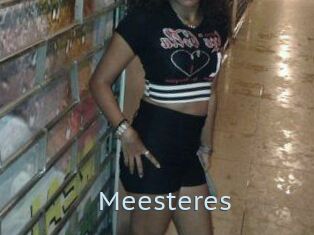 Meesteres