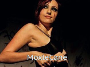 Moxie_Cane