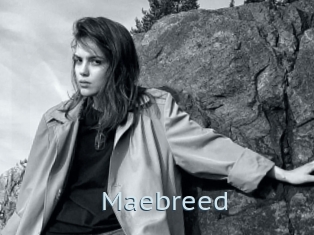 Maebreed