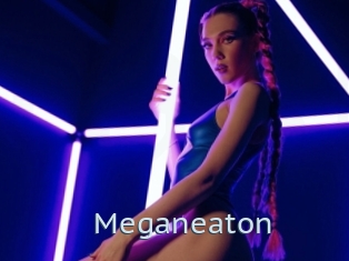 Meganeaton