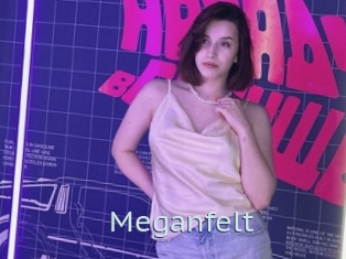 Meganfelt