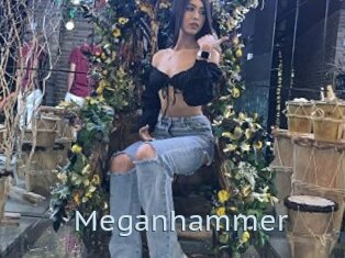 Meganhammer