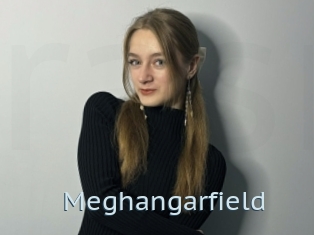 Meghangarfield