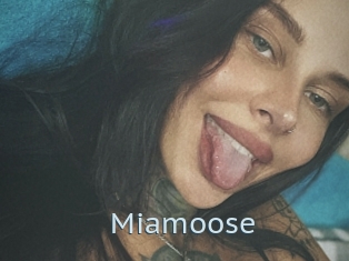 Miamoose