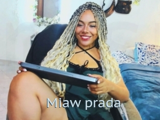 Miaw_prada