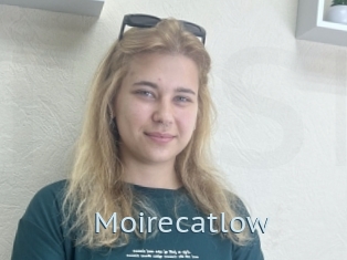 Moirecatlow