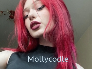 Mollycodle