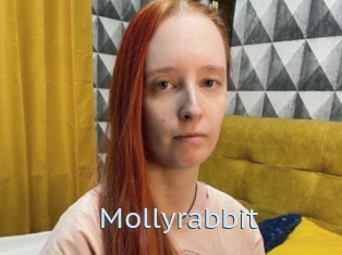 Mollyrabbit