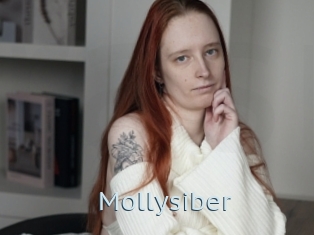 Mollysiber