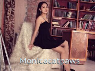 Monicacatpaws